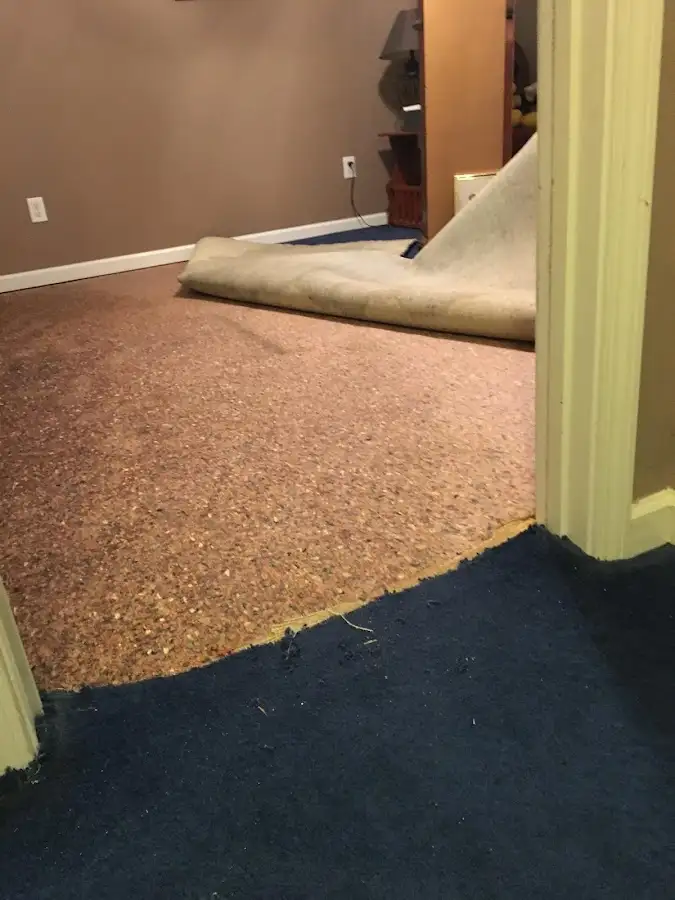 Carpet pad removal revealing water damage during Water Mitigation Services in Port Angeles