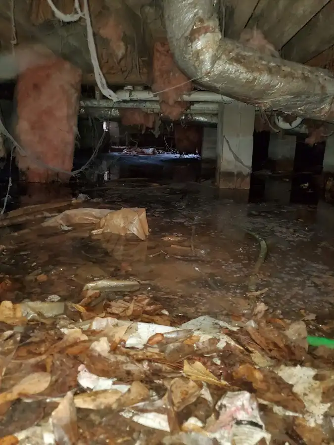 Crawl space flood assessment for Leak Detection & Repair in Port Angeles