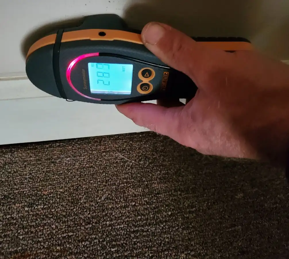Moisture detection at baseboard during Sewage Cleanup & Sanitation in Port Angeles
